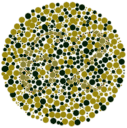 Color